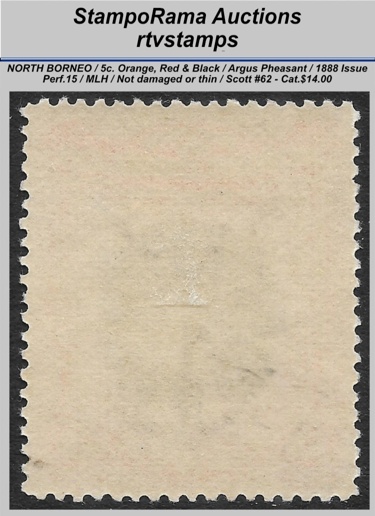 Second Image not Available